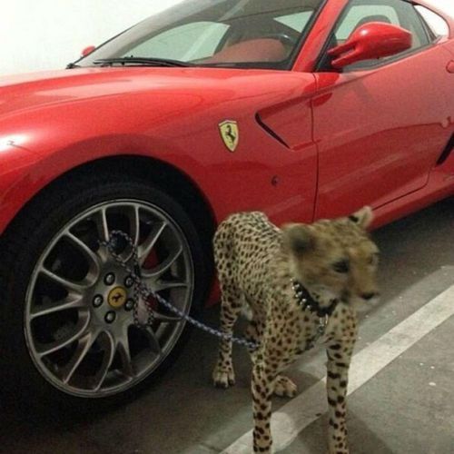 yukon x up! (sped up)