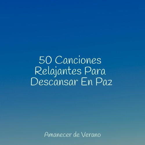 50 Canciones Relajantes Para Descansar En Paz