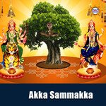 Akka Sammakka