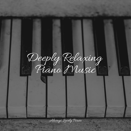 Relaxation Zone cover art