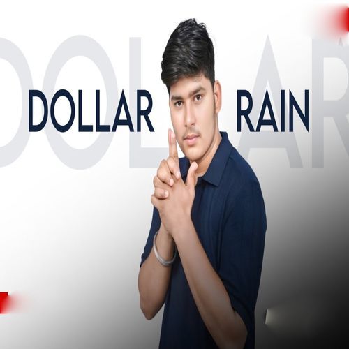 Dollar Rain