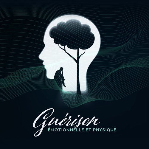 Guérison émotionnelle et physique (Tons miracles, Musique Brainwave pour étudier, Hz fréquence de guérison puissante)