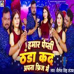 Hamar Pepsi Thanda Kada Apna Fridge Me