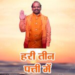 Hari Teen Patni Mein