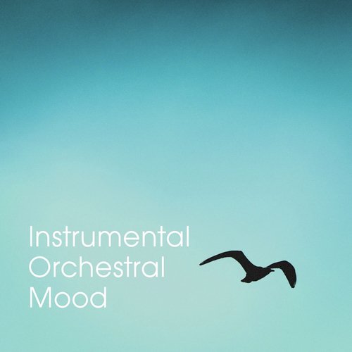 Instrumental Orchestral Mood