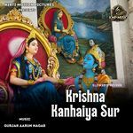 Krishna Kanhaiya Sur Slowed &amp; Reverb