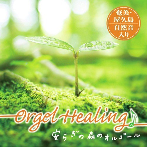 Orgel Healing Relaxin Forest Music