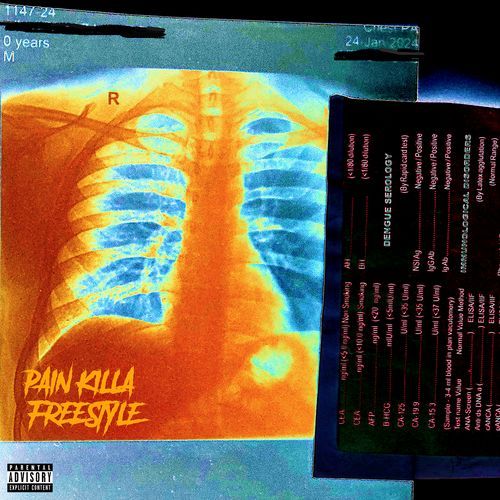 Pain Killa (Freestyle)