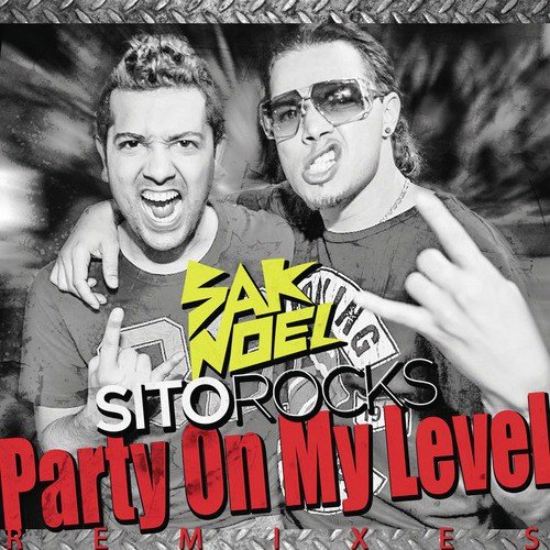 Party On My Level [Remixes]_poster_image