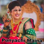 Punyachi Maina (Remix)
