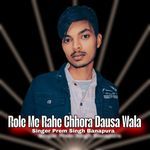 Role Me Rahe Chhora Dausa Wala