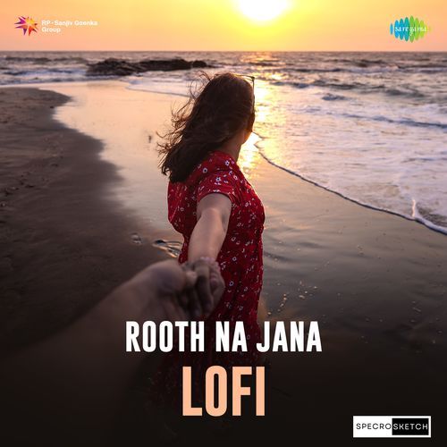 Rooth Na Jana - Lofi