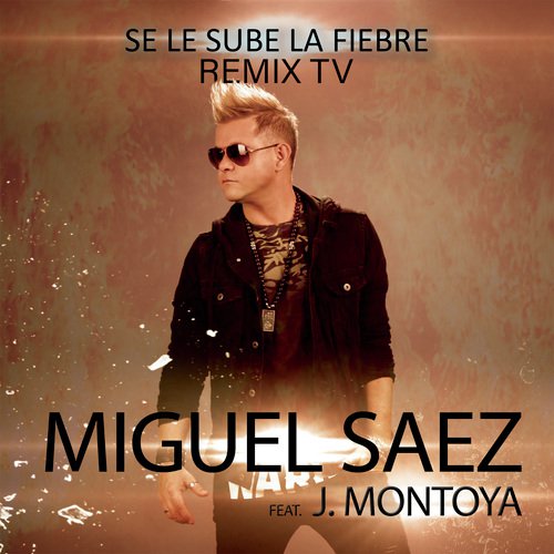 Se Le Sube la Fiebre (Remix TV)_poster_image