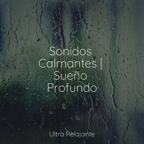 Sonidos Calmantes | Sueño Profundo