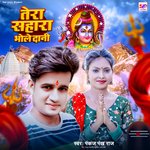 Tera Sahara Bholedani (Hindi)