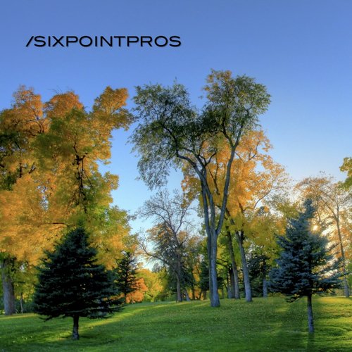 All Signs Point to Yes cover art