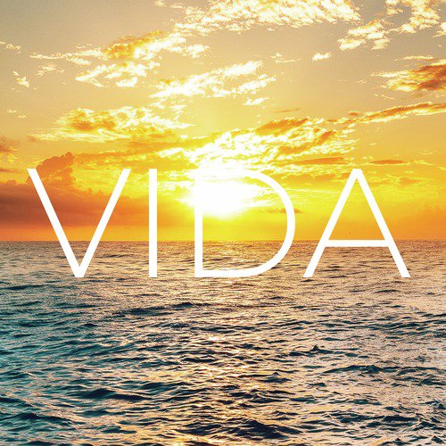 Vida