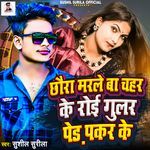 chhaura marle ba chahar ke roi gular ke per pakar ke