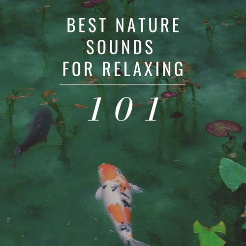 Music for Sleeping to Help You Sleep Through cover art