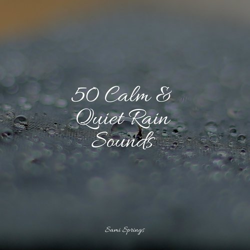 50 Calm & Quiet Rain Sounds