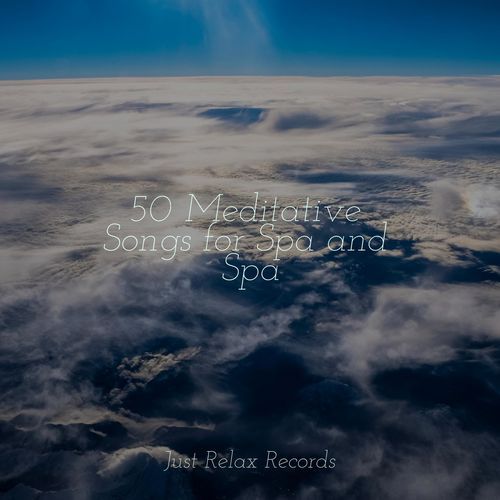 50 Meditative Songs for Spa and Spa