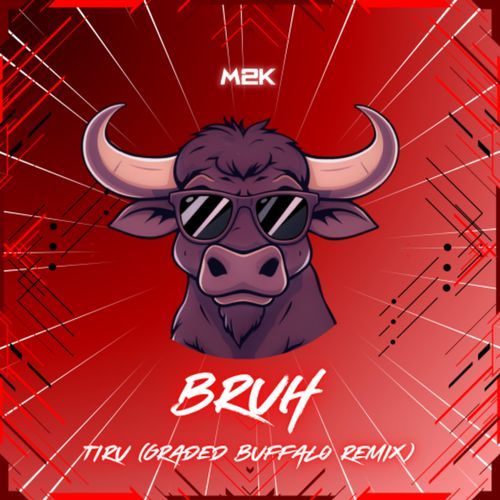 BRUH. (Graded Buffalo Remix)