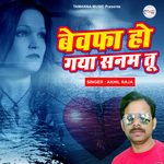 Bewafa Ho Gaya Sanam Tu