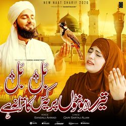 Bulbul Tere Hoton Per Ye Kiska Tarana Hai