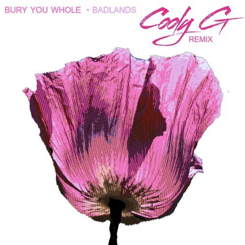 Bury You Whole (Cooly G Remix)_poster_image