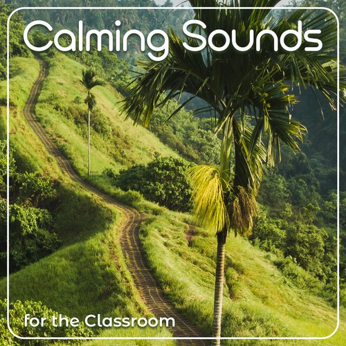 Calming Sounds for the Classroom_poster_image