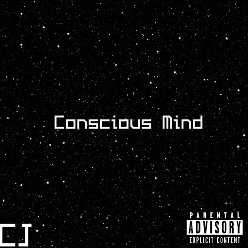 Conscious Mind