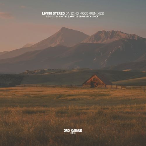 Dancing Mood (Remixes)