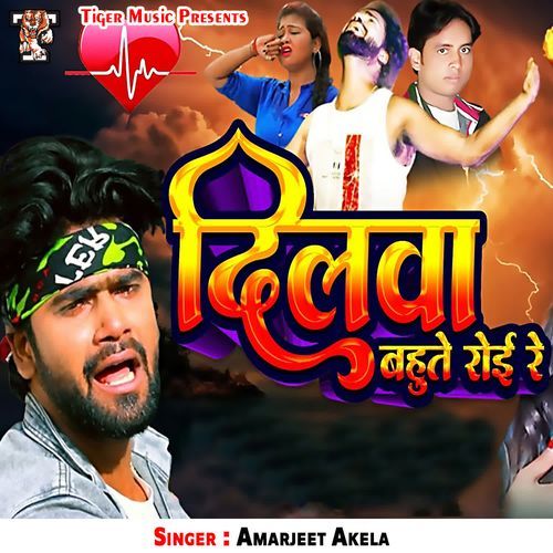 Dilwa Bahute Roi Re