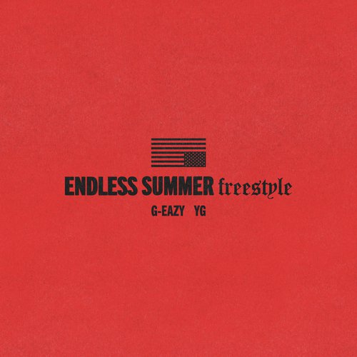 Endless Summer Freestyle_poster_image