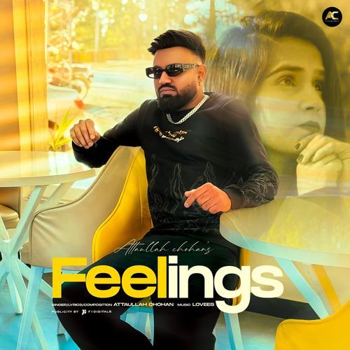 Feelings