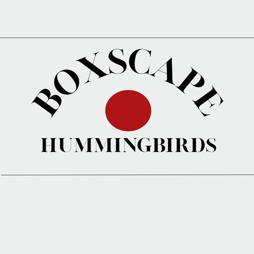 HUMMINGBIRDS