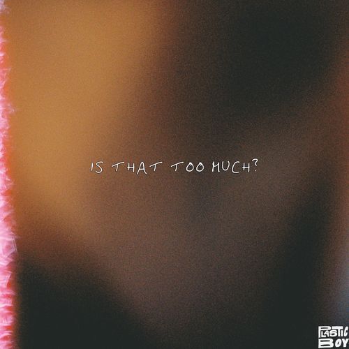 Is That Too Much?
