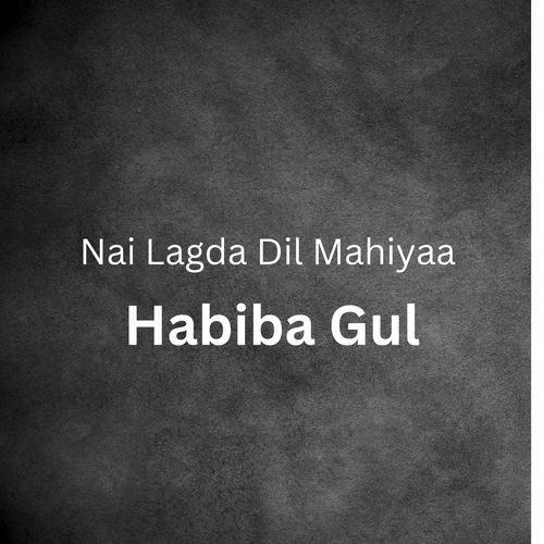 Nai Lagda Dil Mahiyaa