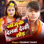 Najuk Dilwa Denhi Tor