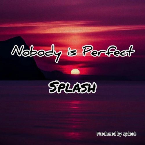 Nobody Is Perfect