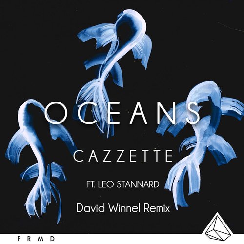 Oceans (Dave Winnel Remix)_poster_image