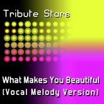 One Direction - What Makes You Beautiful (Vocal Melody Version)