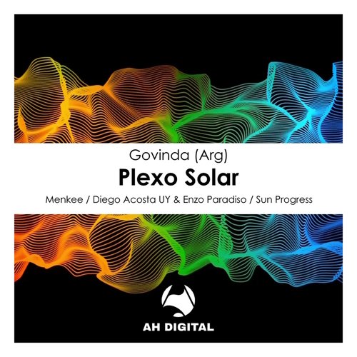 Plexo Solar (Diego Acosta UY & Enzo Paradiso Remix) cover art