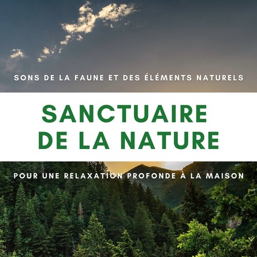 Sanctuaire de la nature - Sons de la faune et des éléments naturels pour une relaxation profonde à la maison