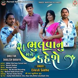 Shu Mane Bhulva Nu Kaheshe