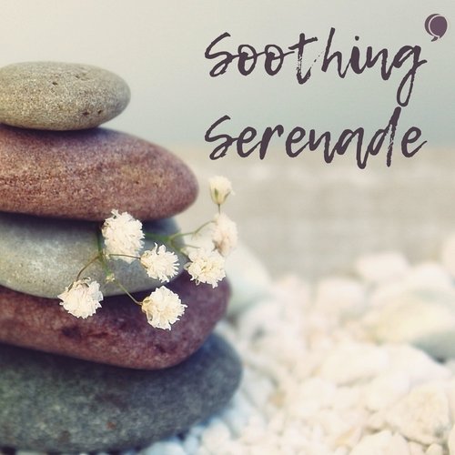 Soothing Serenade: Tranquil Acoustic Melodies for Relaxation and Stress Relief