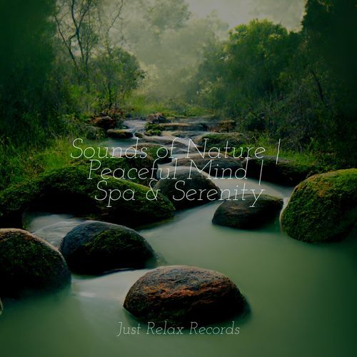 Sounds of Nature | Peaceful Mind | Spa & Serenity