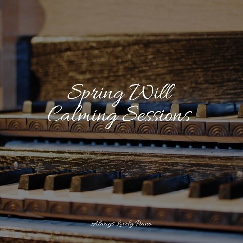 Spring Will Calming Sessions