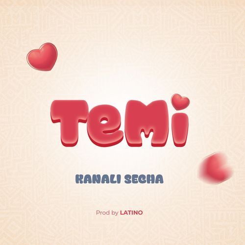 TeMi cover art
