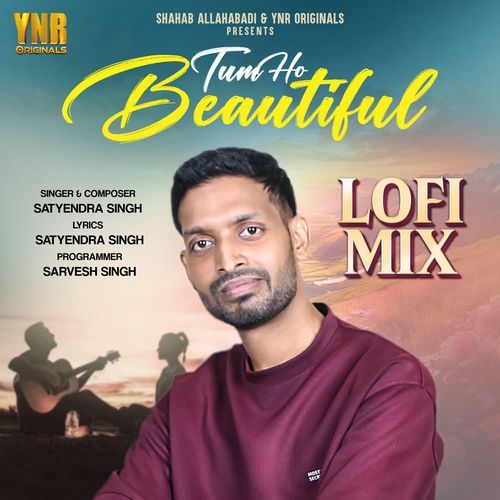 Tum Ho Beautiful Lofi Mix